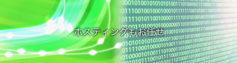 企業向けホスティングサーバーもお任せ